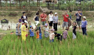 Khu cắm trại gần Hà Nội cho trẻ em