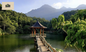 Tiên sa